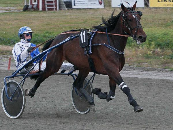 Godolphin Simoni