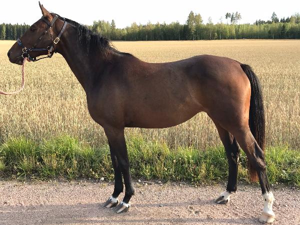 Rosarette