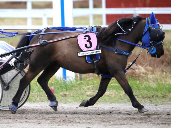 Nordanåkers Mio