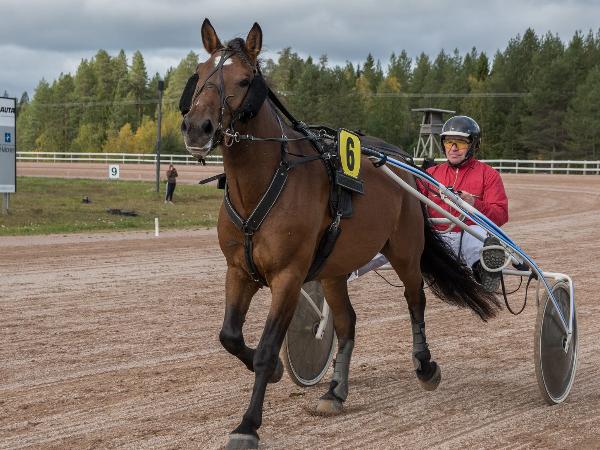 Humppa Heikki