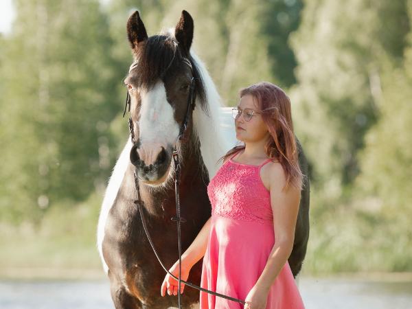 Cheyenne Van Gipsy Spirit