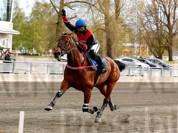 Wagger Zacker*