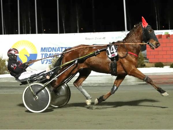 Frozen A.F.