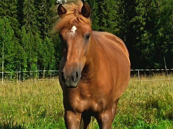 Von Wilma
