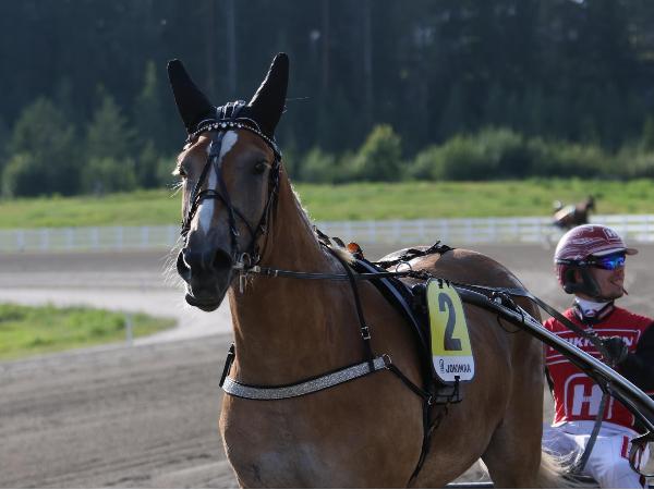 Metsätähden Fiina