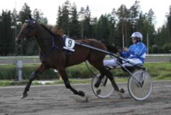 Donato Royal