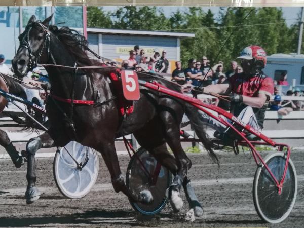 Digital Passport