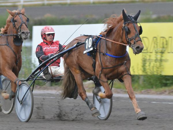 Kevinin Tähti