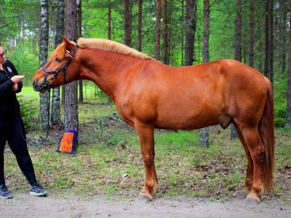 Uffe