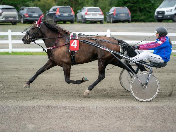 Lemmen Tuima