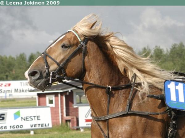 Tuulten Toivo
